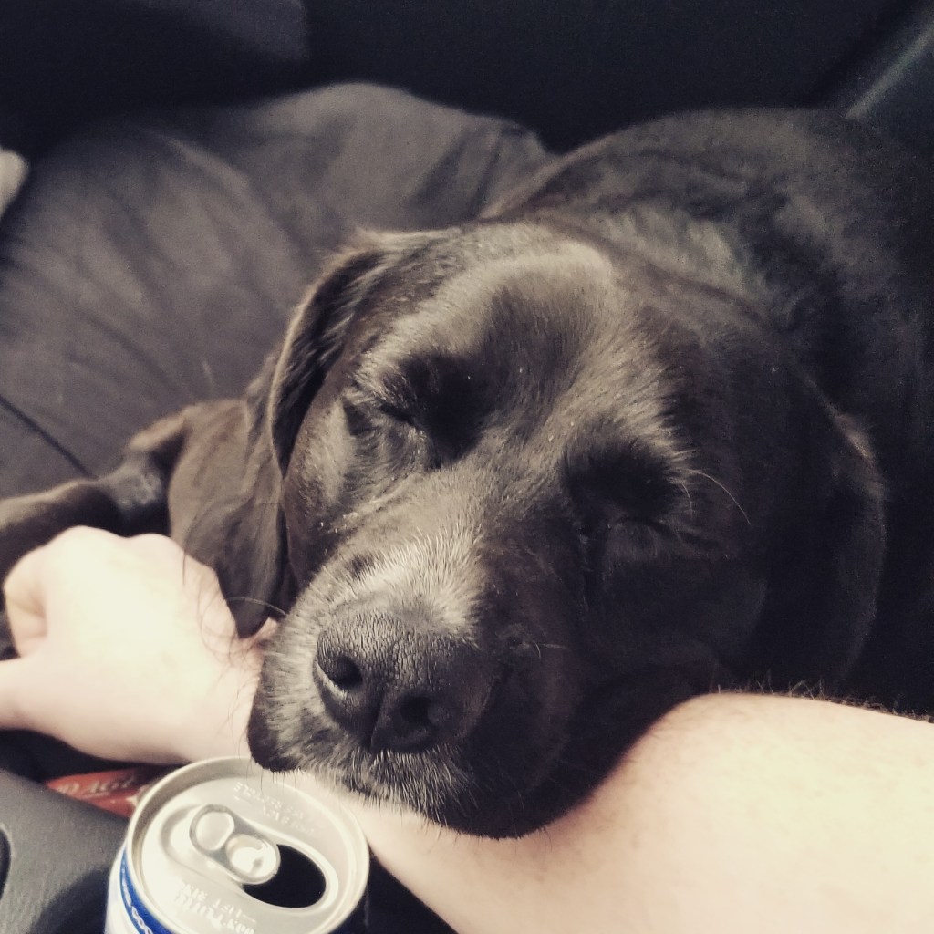 Older than a&nbsp;lifetime